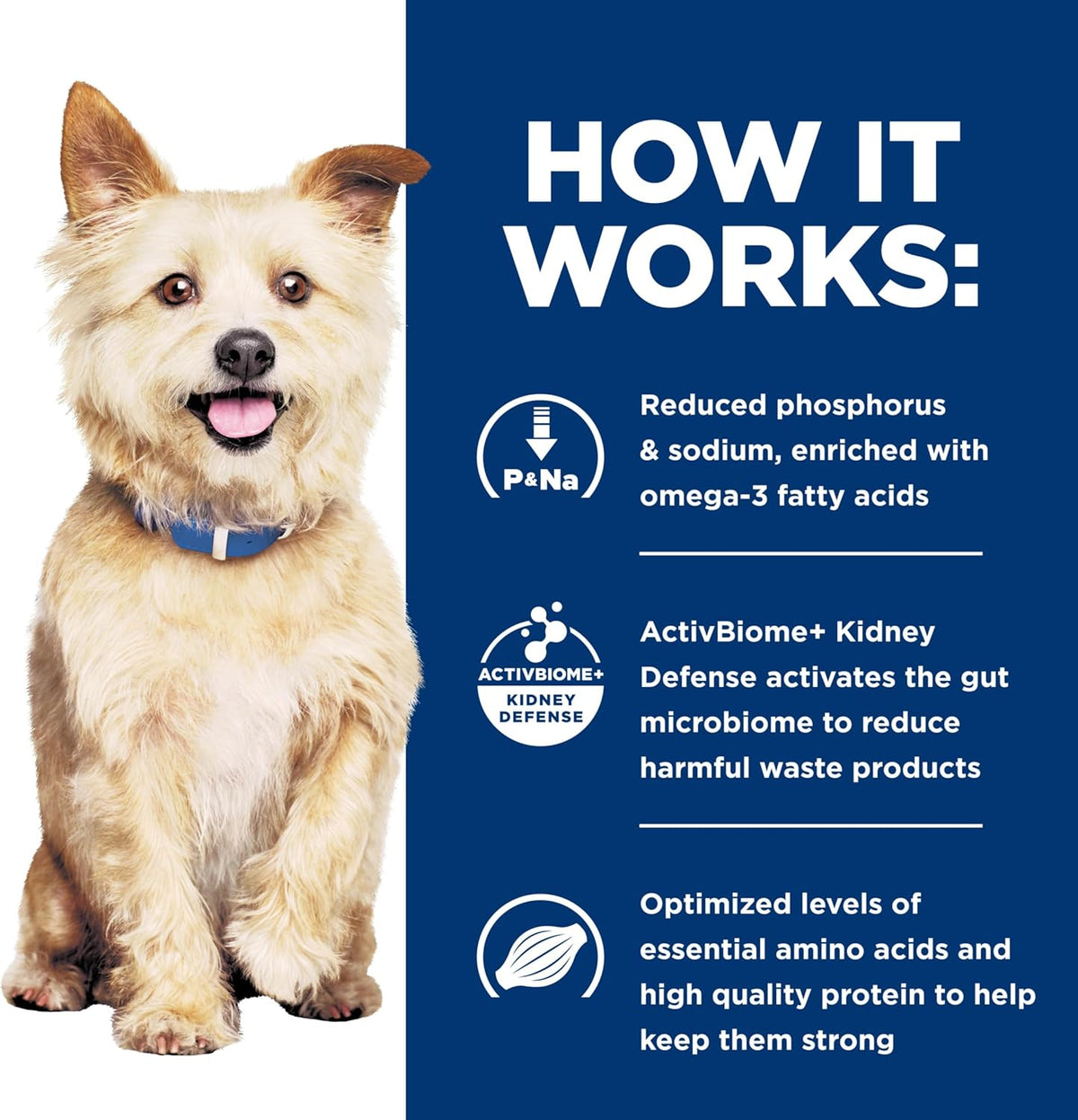 Hill's Prescription Diet k/d Kidney Care Dry Dog Food, Chicken, 8.5 lb. Bag - Image 9