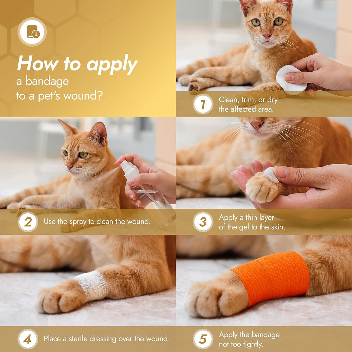 Qpets elastic wrap applied to dog paw for wound protection