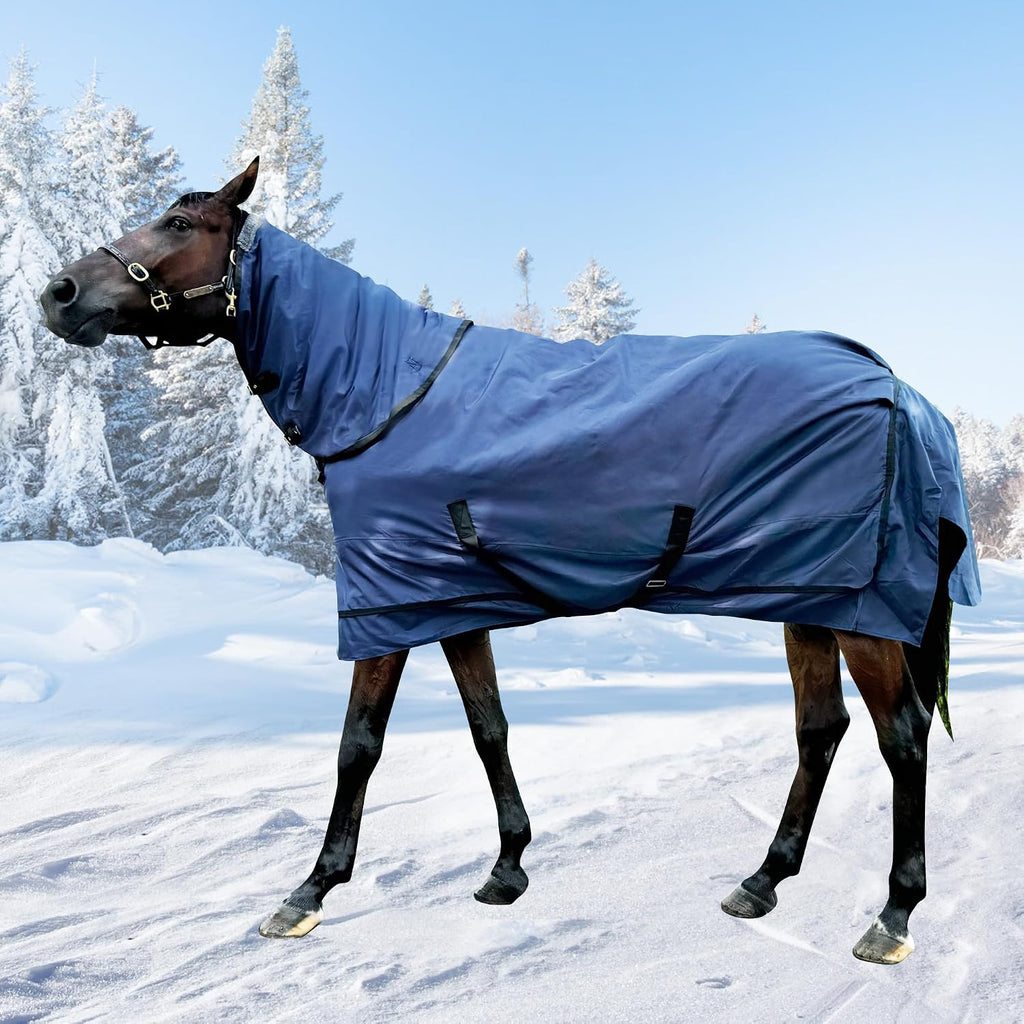 1200D Horse Turnout Blanket with Detachable Neck Cover, Medium Weight Water-Resistant BlanketWinter Horse Blanket for Real Horses(72in/135cm) - Image 9