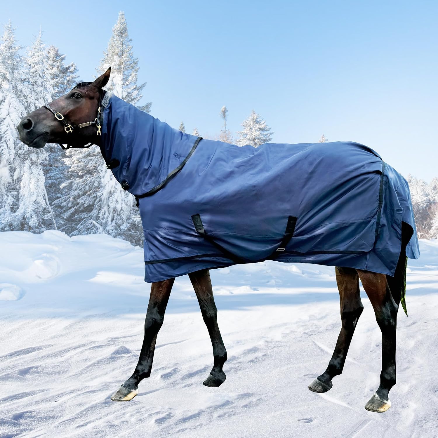 1200D Horse Turnout Blanket with Detachable Neck Cover, Medium Weight Water-Resistant BlanketWinter Horse Blanket for Real Horses(72in/135cm) - Image 9