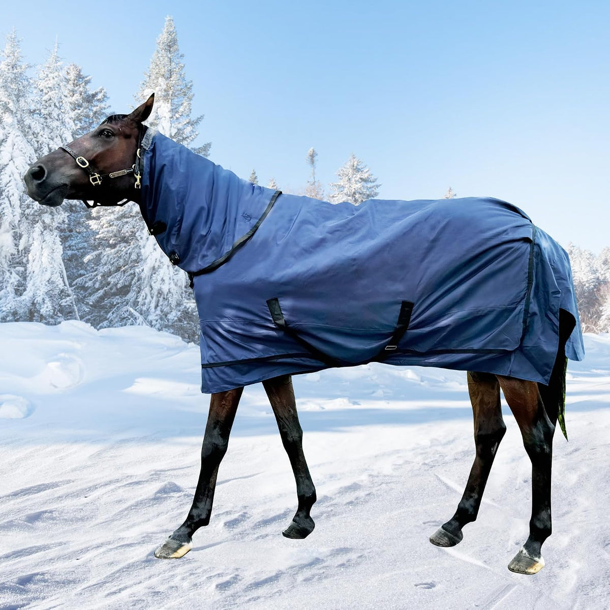 1200D Horse Turnout Blanket with Detachable Neck Cover, Medium Weight Water-Resistant BlanketWinter Horse Blanket for Real Horses(72in/135cm) - Image 9