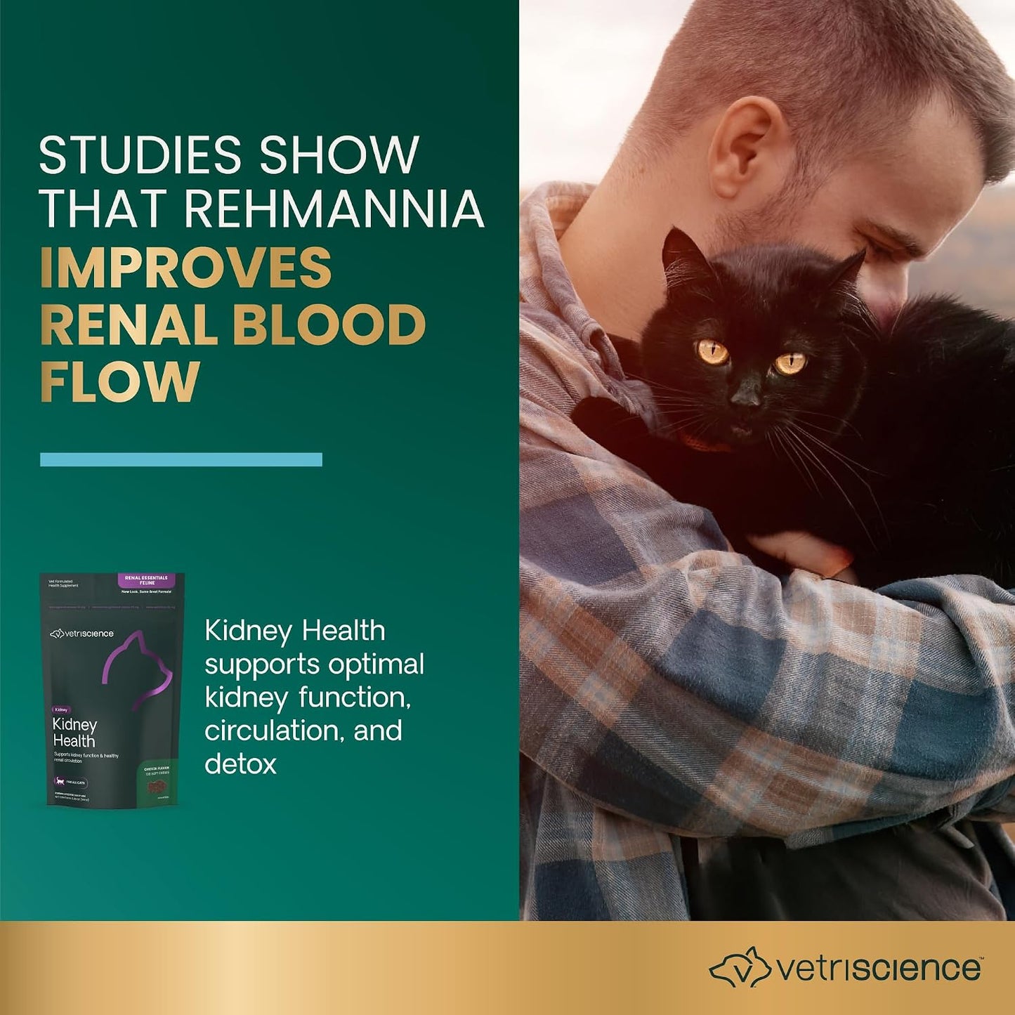 VetriScience Kidney Health Chews, Renal Essentials Supplement for Cats, Kidney Care and Support with Mushroom, Astragalus Root, Nettle Seed and Herbs, Chicken, 120 Count - Image 4