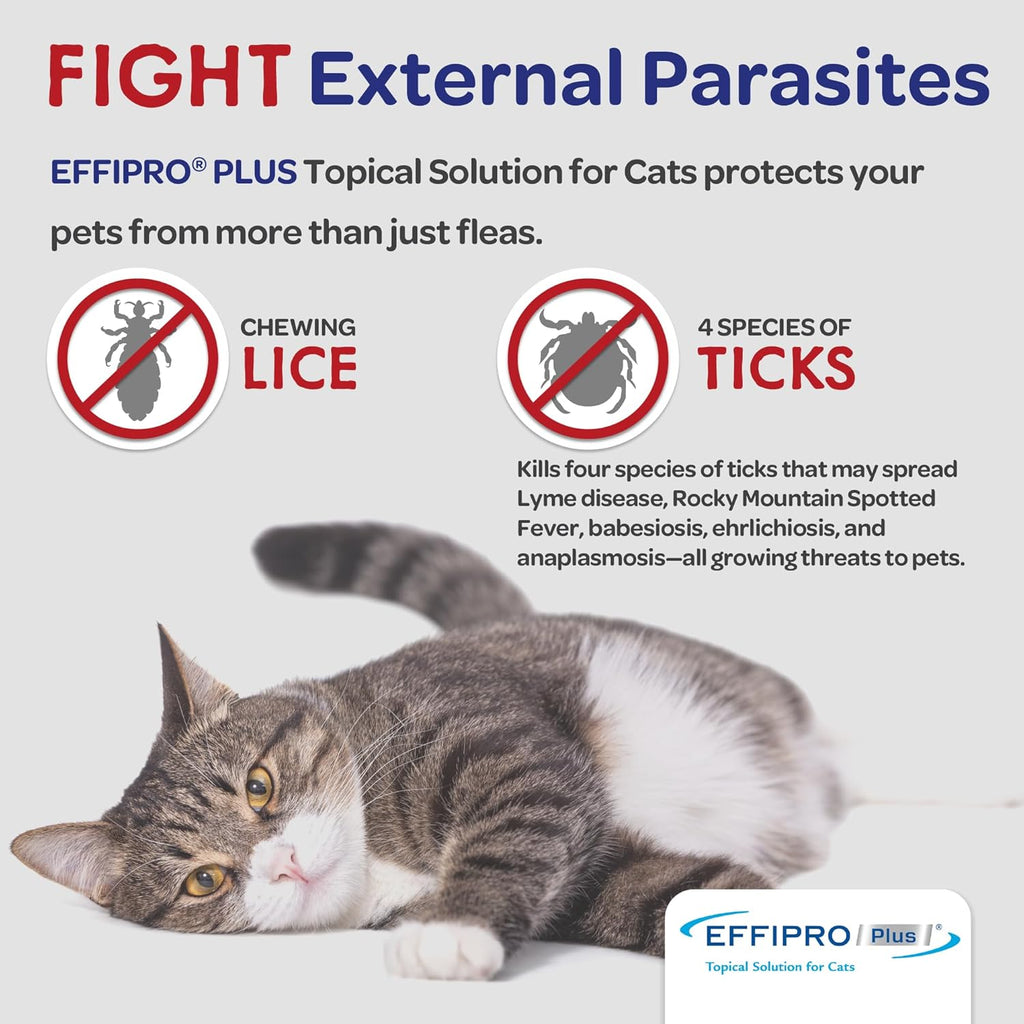 Virbac Effipro Plus side panel showing kitten weight requirements details