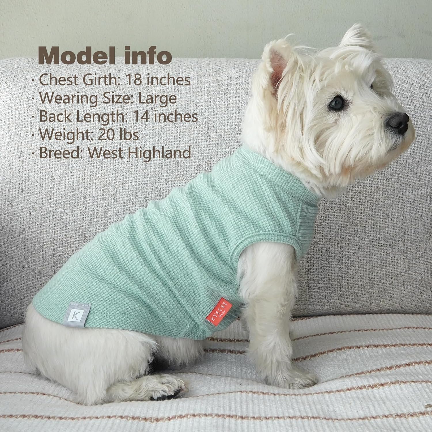 KYEESE 2Pack Waffle Dog Shirts, Lightweight Sleeveless Dog T Shirts for Small Dogs Boy Girl, Breathable Pet Vest Comfortable Tank Top Soft Dogs Clothes for Daily Wear, Green+Striped, M - Image 9