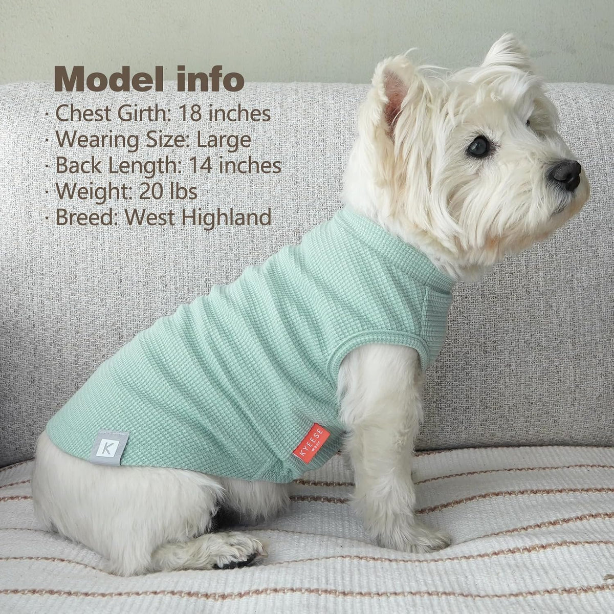 KYEESE 2Pack Waffle Dog Shirts, Lightweight Sleeveless Dog T Shirts for Small Dogs Boy Girl, Breathable Pet Vest Comfortable Tank Top Soft Dogs Clothes for Daily Wear, Green+Striped, M - Image 9