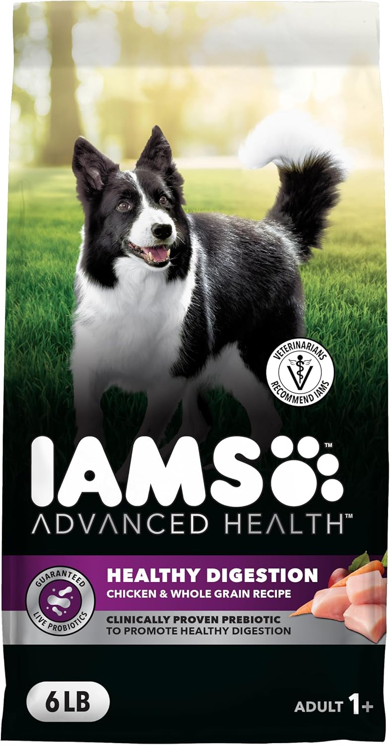IAMS Advanced Health Healthy Digestion Adult Dry Dog Food with Real Chicken, 4.5 lb. Bag - Image 10