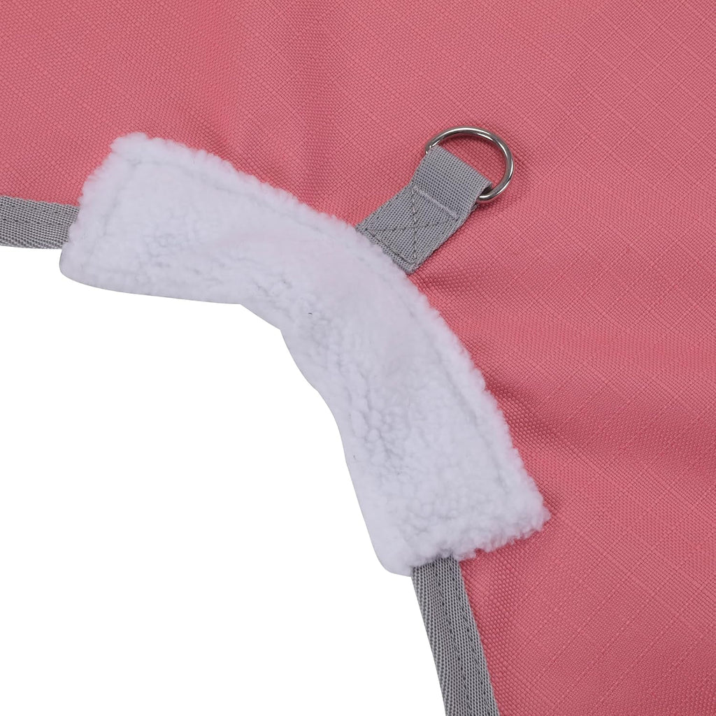 LEAFOREST zero fill rain turnout sheet showing the standard neck cut and comfortable anti rub shoulder protection.
