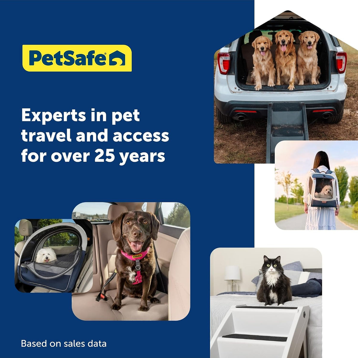 Black PetSafe dog restraint for vehicle travel