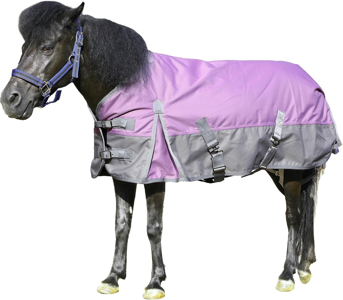 Gallopoff 1200D mini horse blanket front view