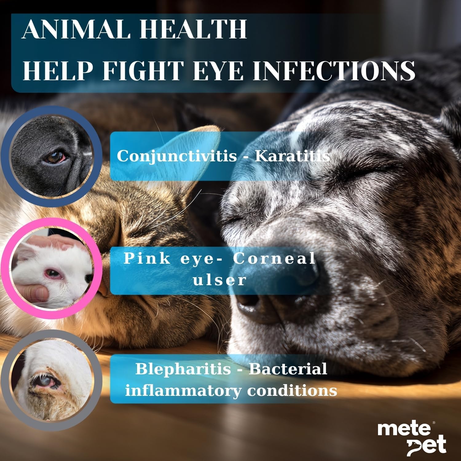 Back label details of Metepet Vetromycin pet eye ointment with usage directions