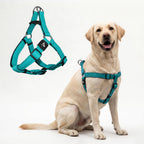 Kruz No Pull Dog Harness (Chest 26"-38", Weight 44-88 lbs) Heavy-Duty Pet Harness for Large Breeds, Ultra-Comfort Fit, Lifetime Durability, Adjustable Dog Harness No Pull Design (Amethyst, Large) - Image 14