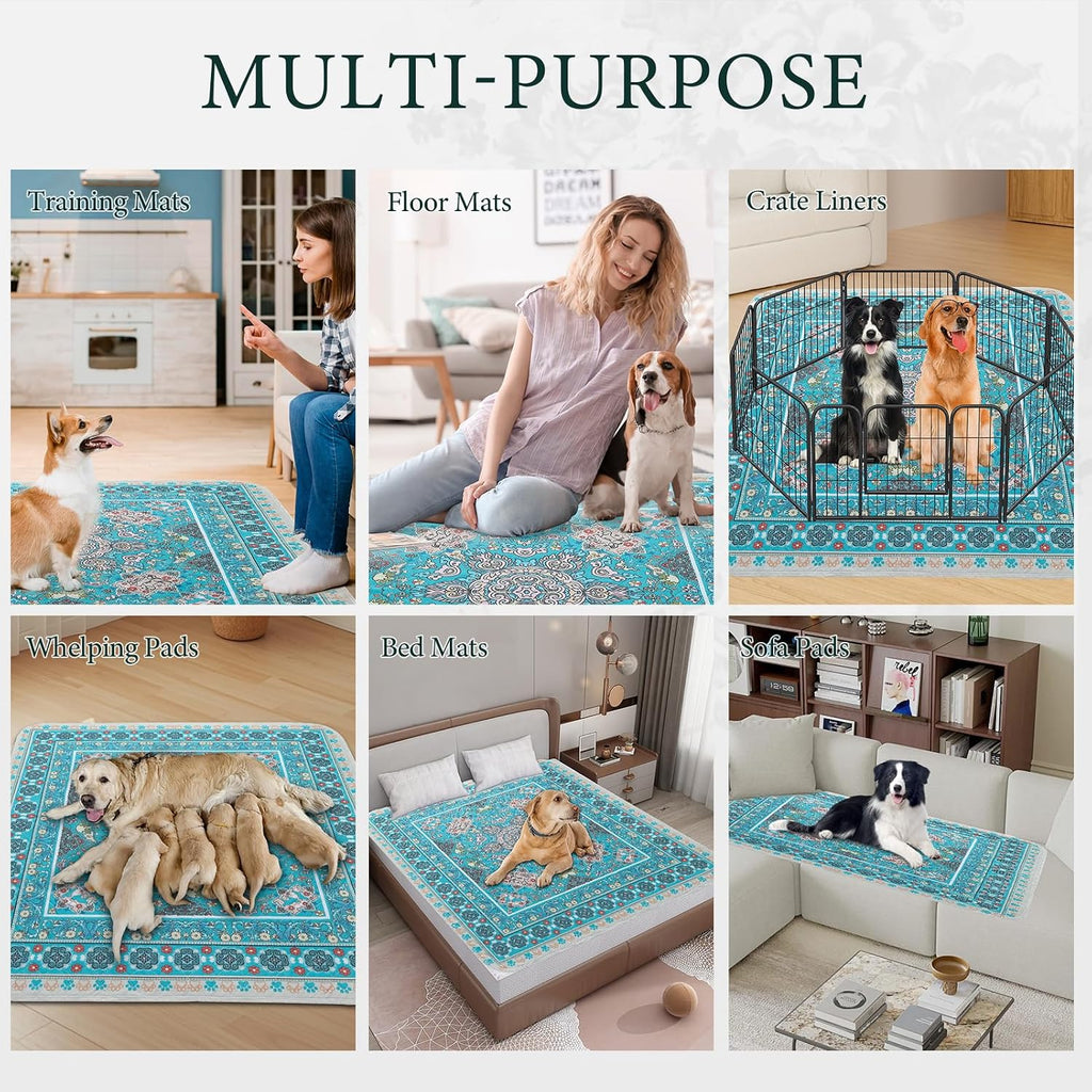 Two pack extra large dog training pads for easy switching