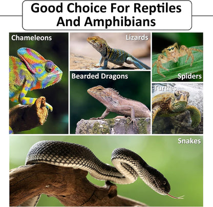 Premium imported USA reptile terrarium bedding for tropical pet enclosures