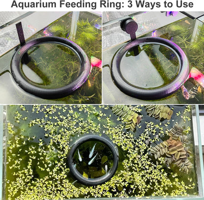 Daelala magnetic fish feeding ring packaging and components view