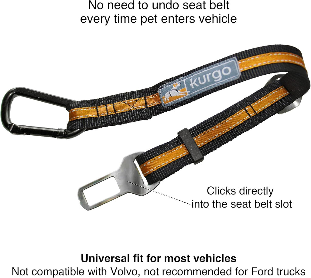 Adjustable nylon dog car strap by Kurgo