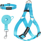 Size guide visualization for Ipravoci dog walking gear