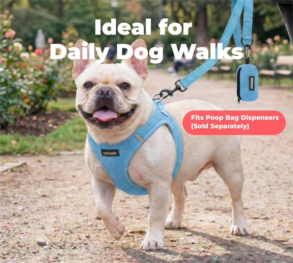 Heavy duty metal clasp attached to a small breed puppy collar.