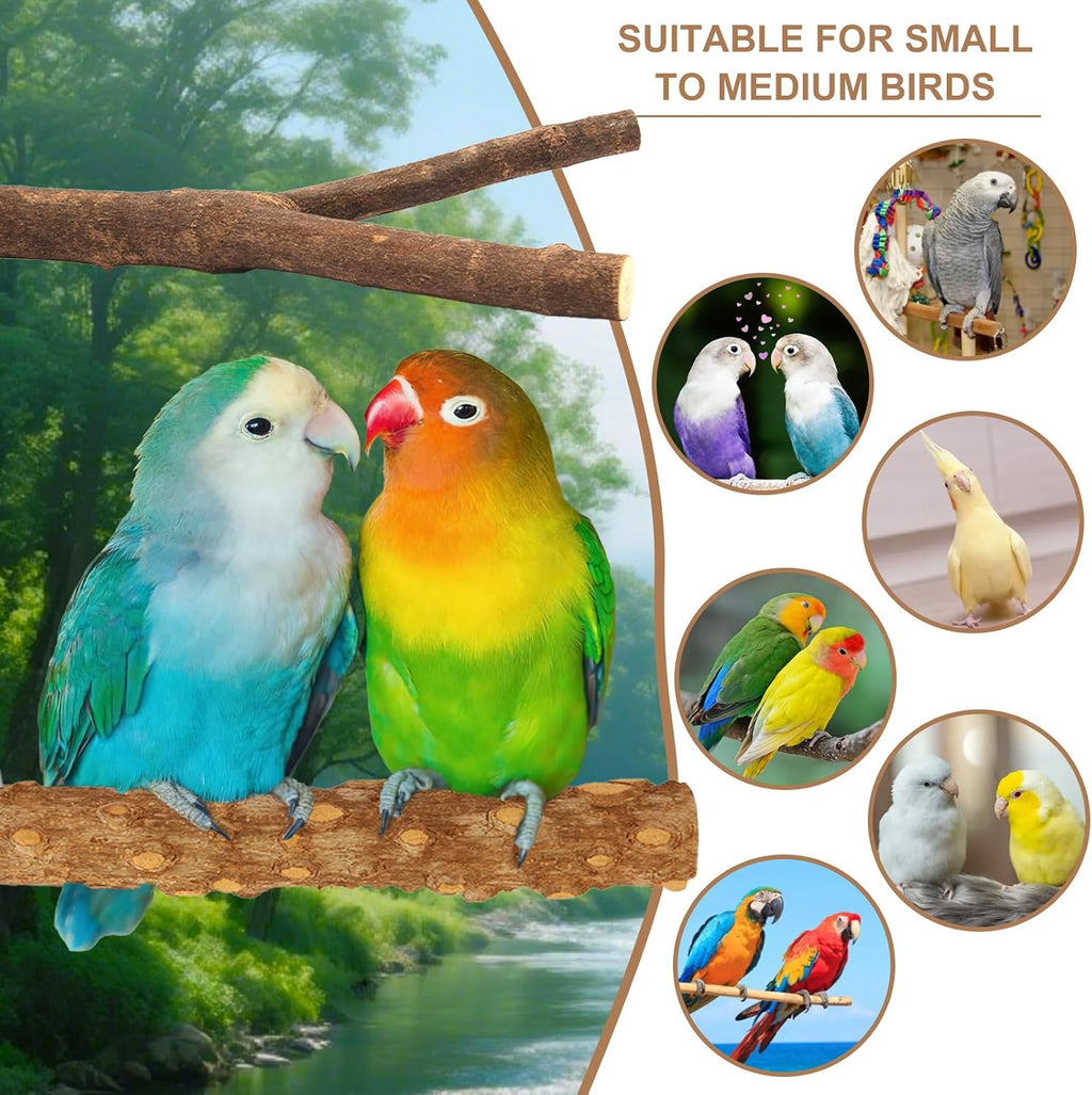7-Piece Bird Perches for Cage- Wooden Parrot Stand with Fork Toys, Hanging Multi-Branch Platform, Hammock Swing, Gym Playstand & Chewing Toys - for Parakeets, Budgies, Lovebirds - Durable - Image 4