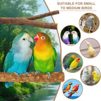 7-Piece Bird Perches for Cage- Wooden Parrot Stand with Fork Toys, Hanging Multi-Branch Platform, Hammock Swing, Gym Playstand & Chewing Toys - for Parakeets, Budgies, Lovebirds - Durable - Image 4