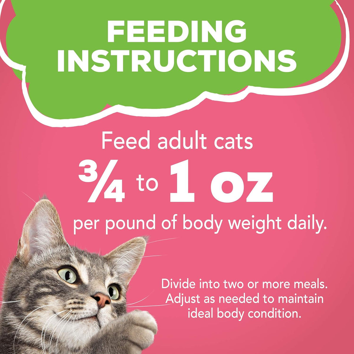 Purina Friskies Wet Cat Food Pate, Pate Salmon Dinner - (Pack of 24) 5.5 oz. Cans - Image 10
