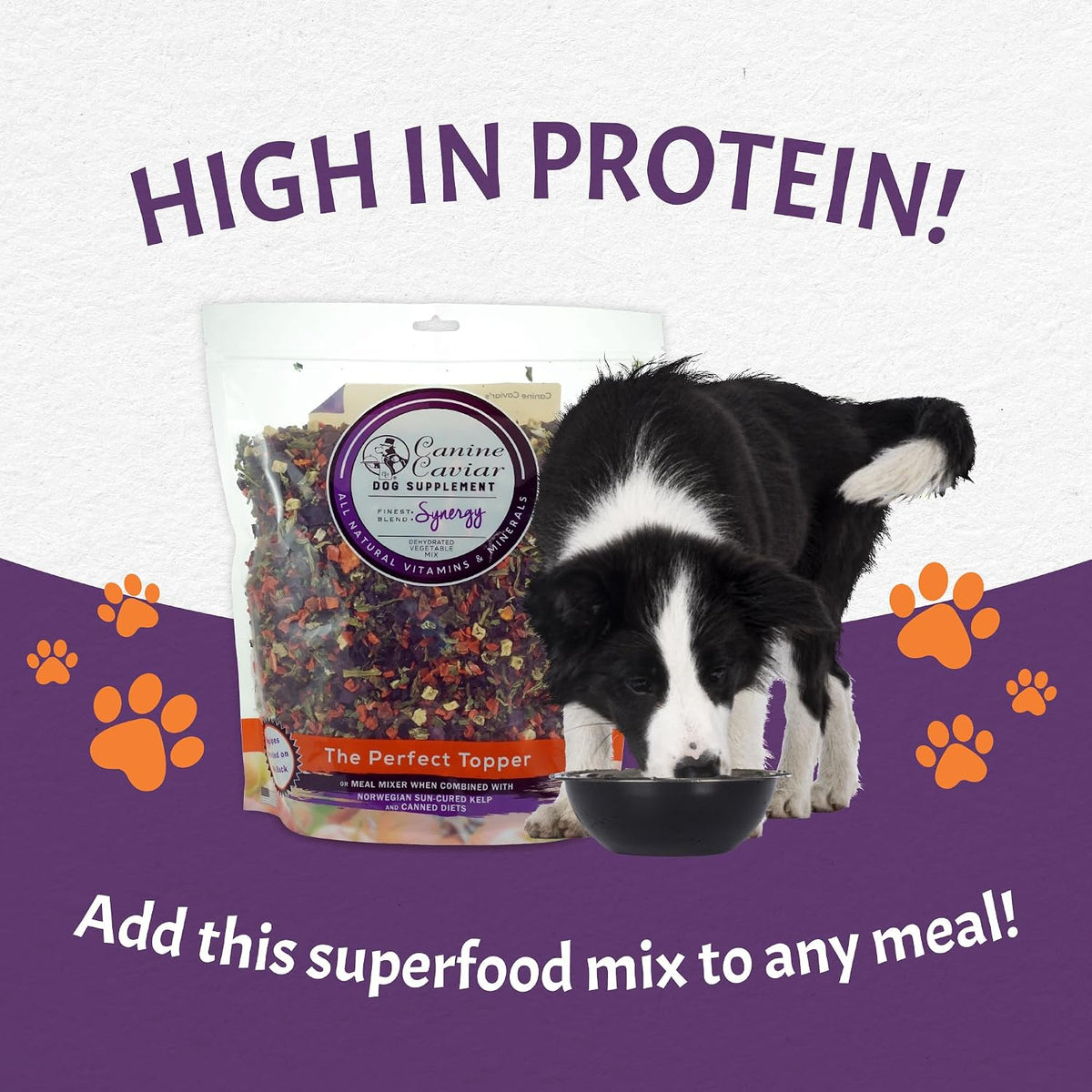 Canine Caviar Synergy dehydrated ingredients visual