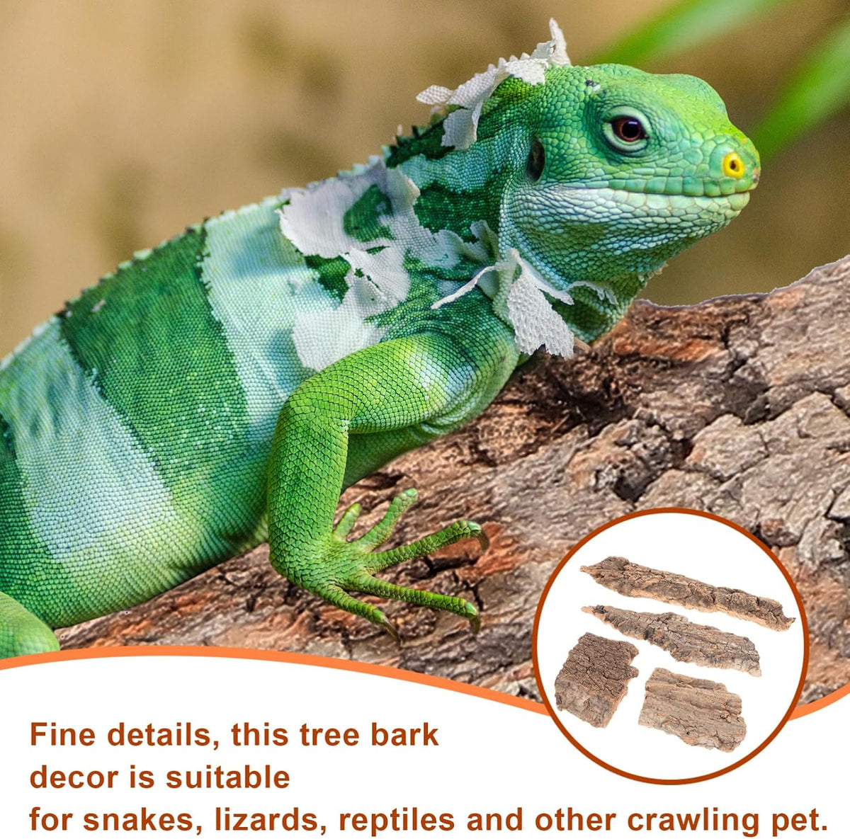 Durable and mold-resistant terrarium substrate bits suitable for tropical vivariums.