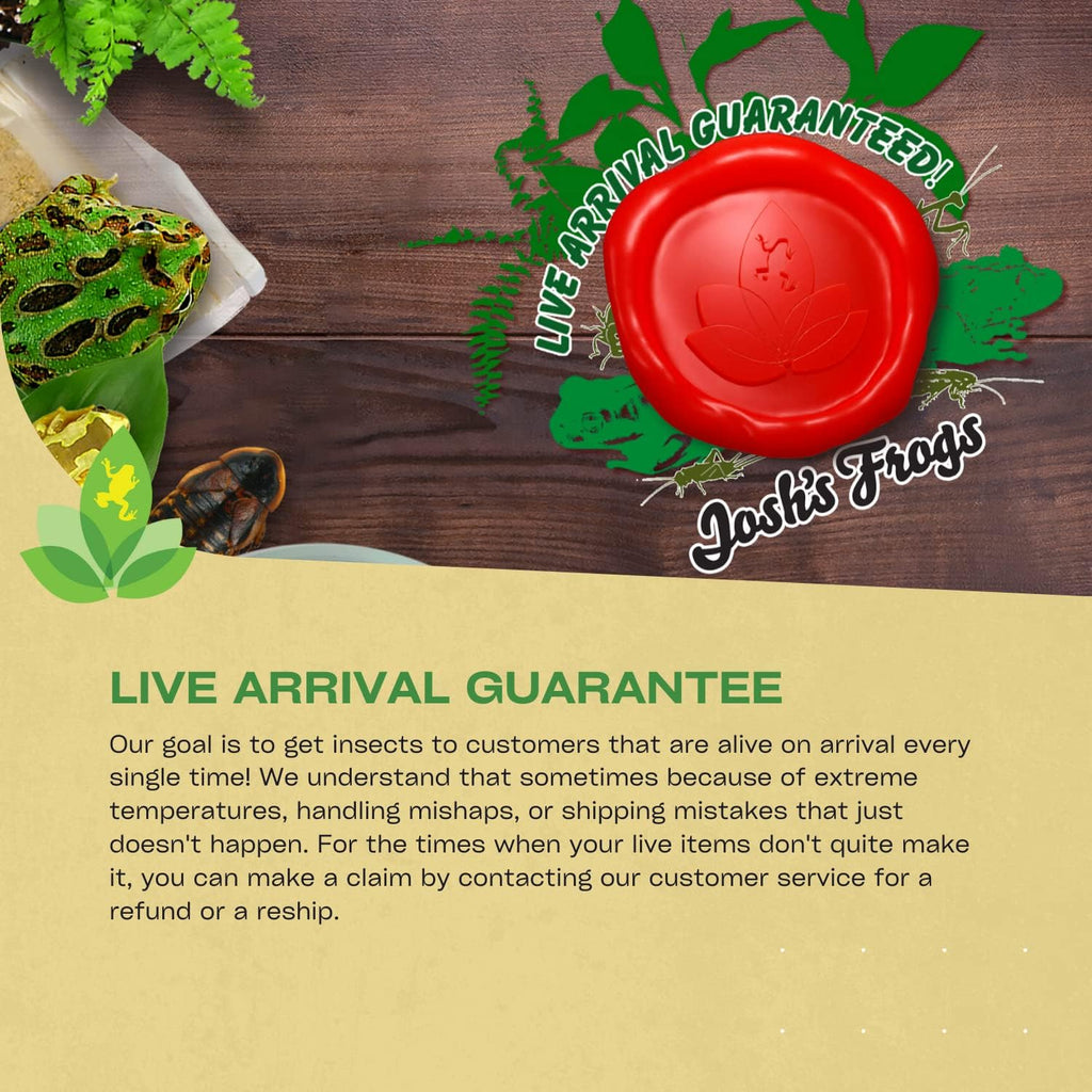 High protein live food for reptiles and amphibians