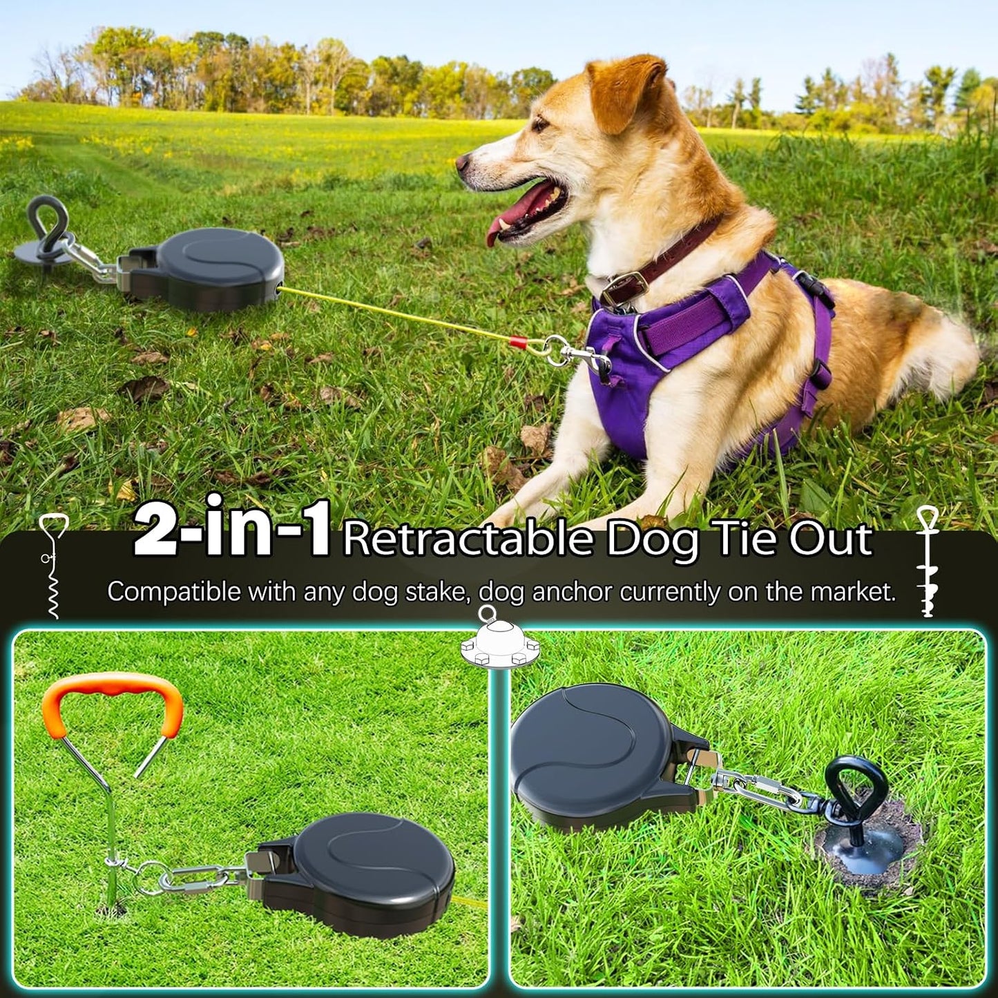 Dog playing in yard with Pestairs retractable tie out