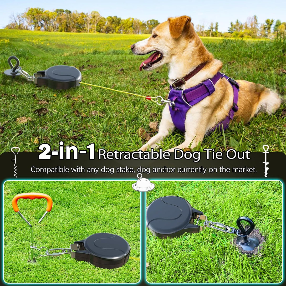 Dog playing in yard with Pestairs retractable tie out
