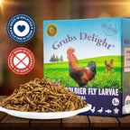 Comparison of Grubs Delight larvae next to standard mealworms