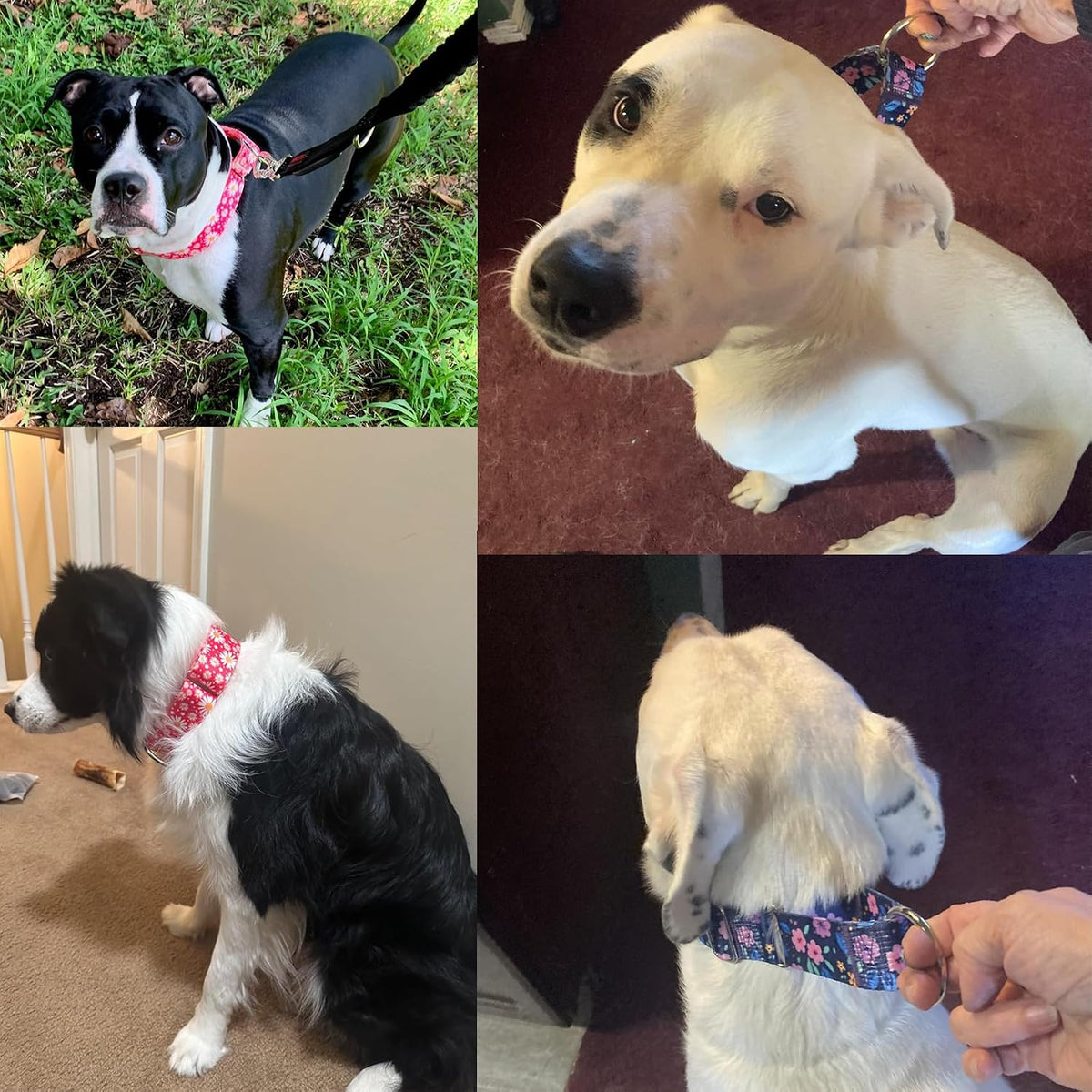 ONEFOJOJO floral print escape proof collar for large dog breeds