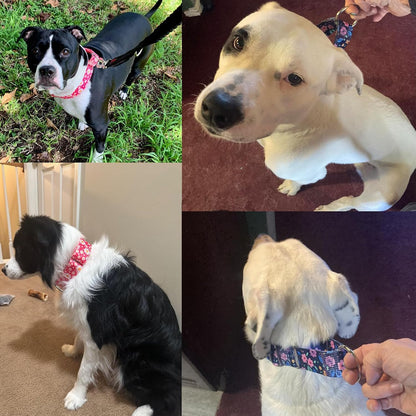 ONEFOJOJO floral print escape proof collar for large dog breeds