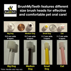 Close up of soft bristles on Brush My Teeth tool
