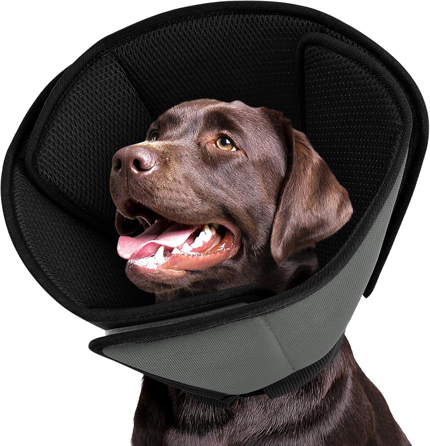 Queenmore Soft Dog Cones for Large Dogs,Comfy Dog Cone for Dogs to Stop Licking After Surgery,Adjustable Pet Cone Alternative for Wound Healing,Blue,X-Large - Image 10