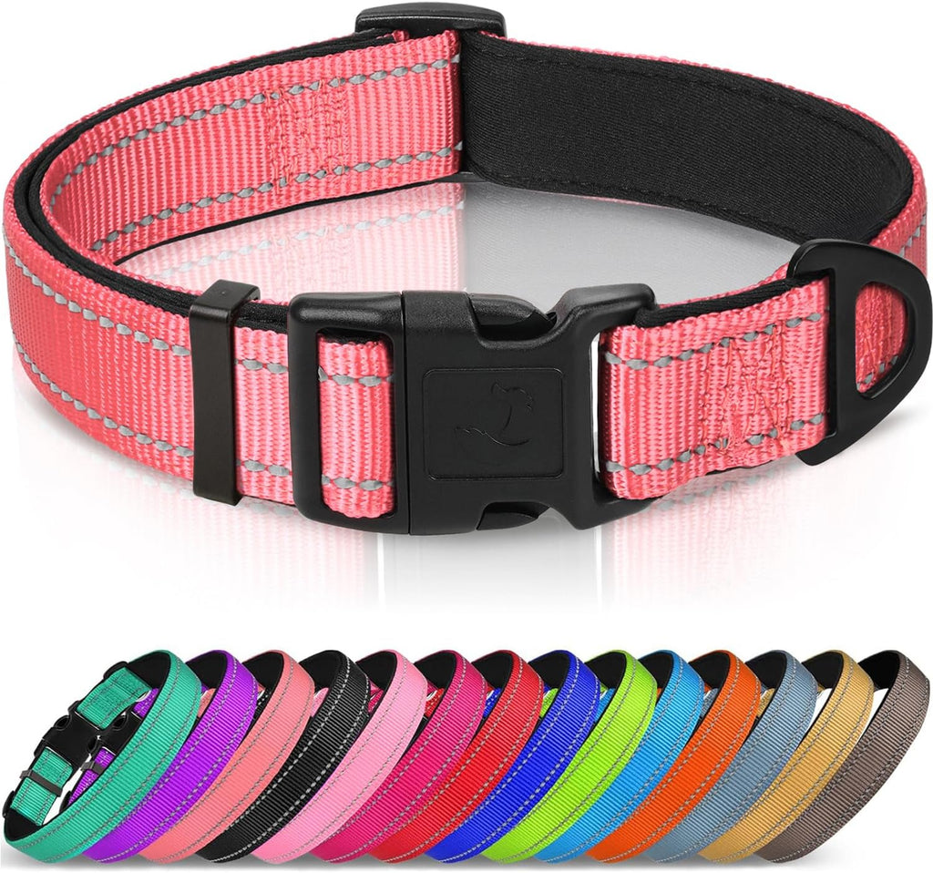 Joytale Reflective Dog Collar, Soft Neoprene Padded, Metal D-Ring, Nylon Pet Collar Adjustable for Large Dogs, Teal, L - Image 12