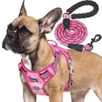 Beebiepet tactical service dog vest triangular metal leash rings close up