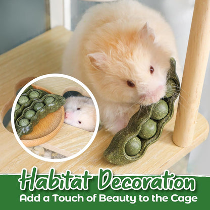 Teewy chinchilla toys dental care treats highlighting the sturdy textured fiber surface.