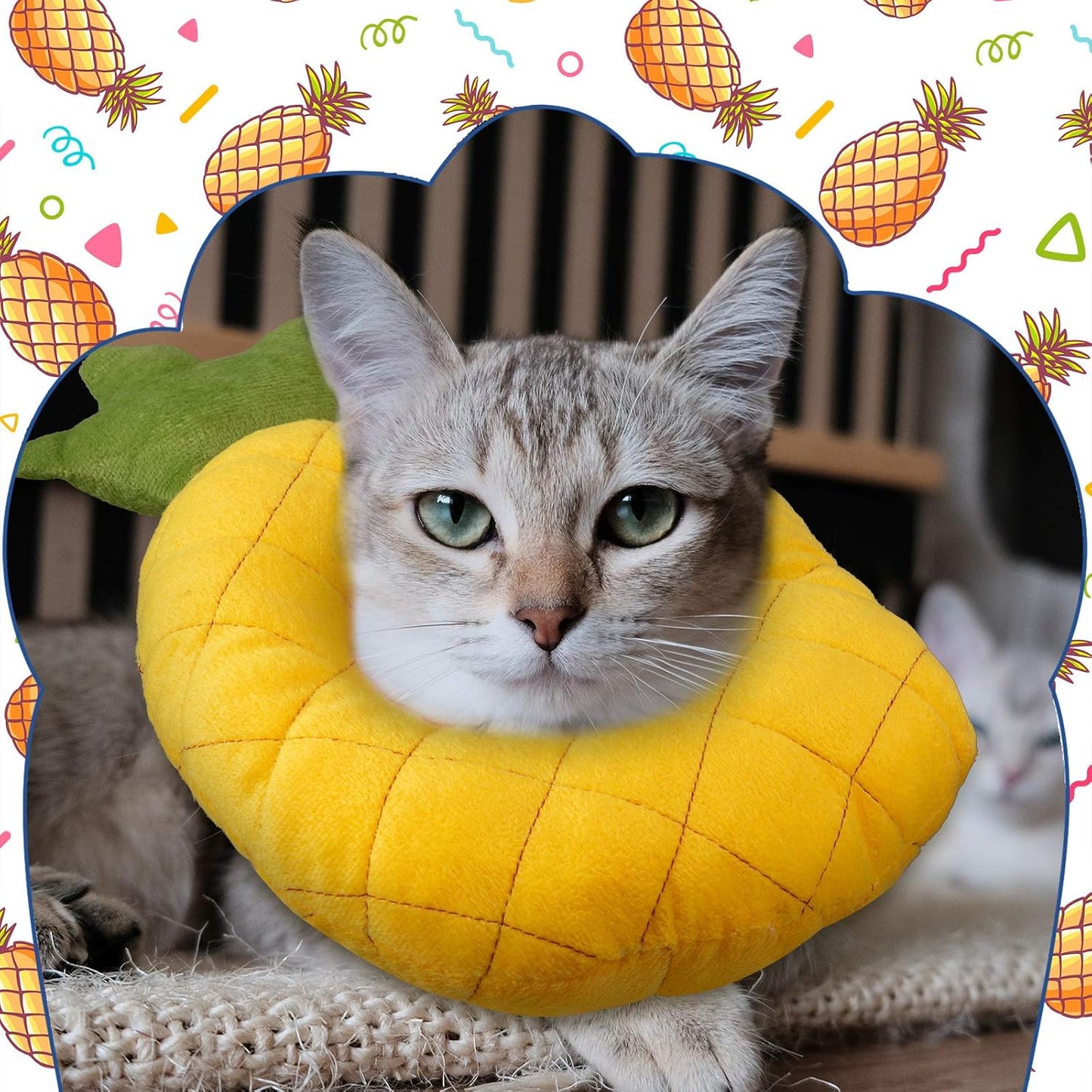 Comfortable cotton padded recovery collar for kittens