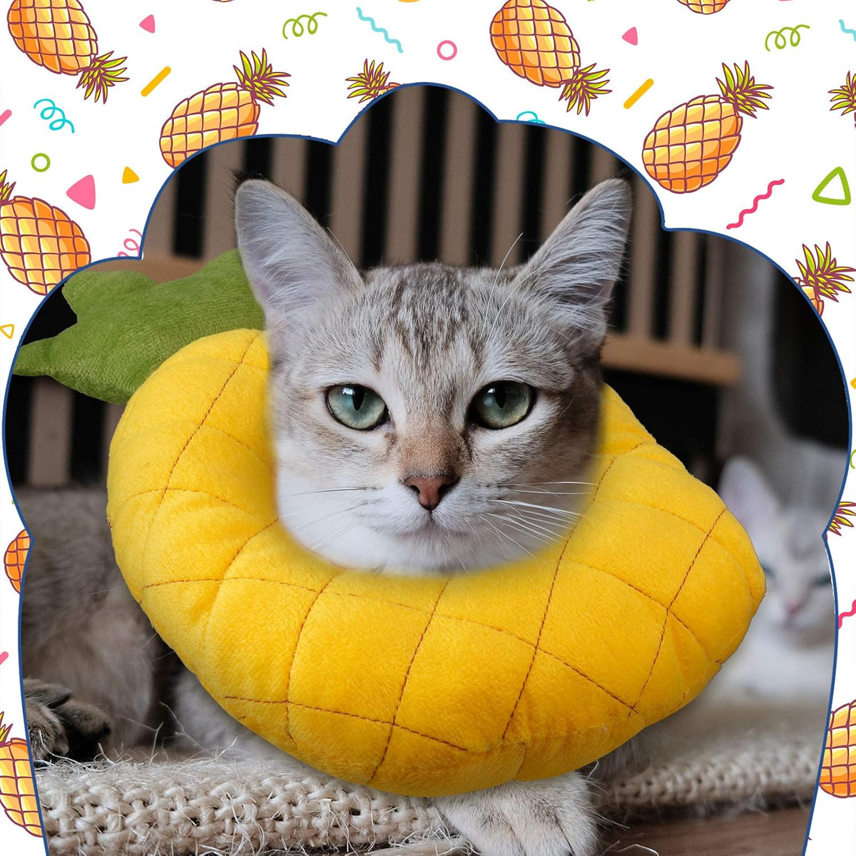 Peach shape comfortable dog and cat recovery collar
