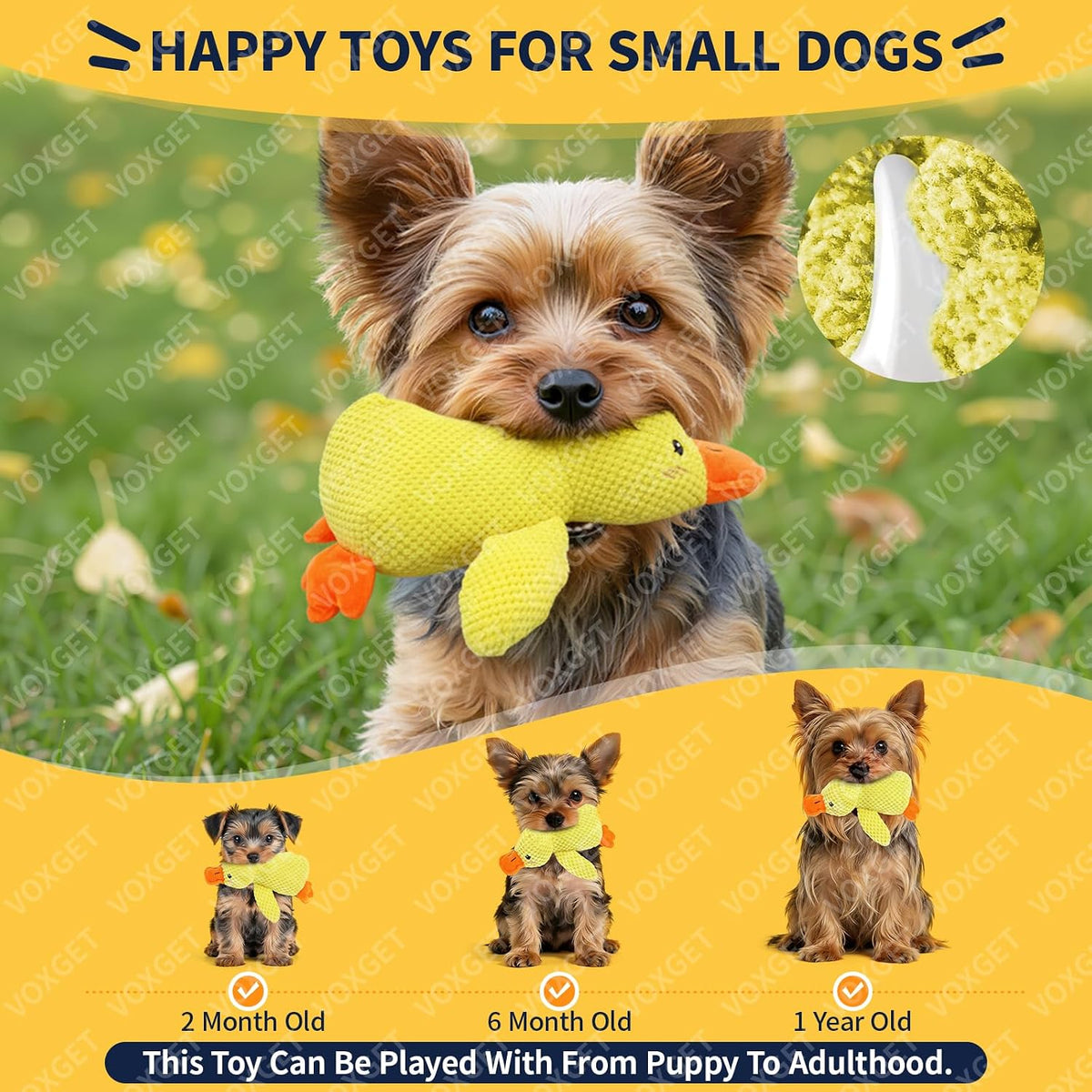Dog playing with interactive squeaky duck toy indoors
