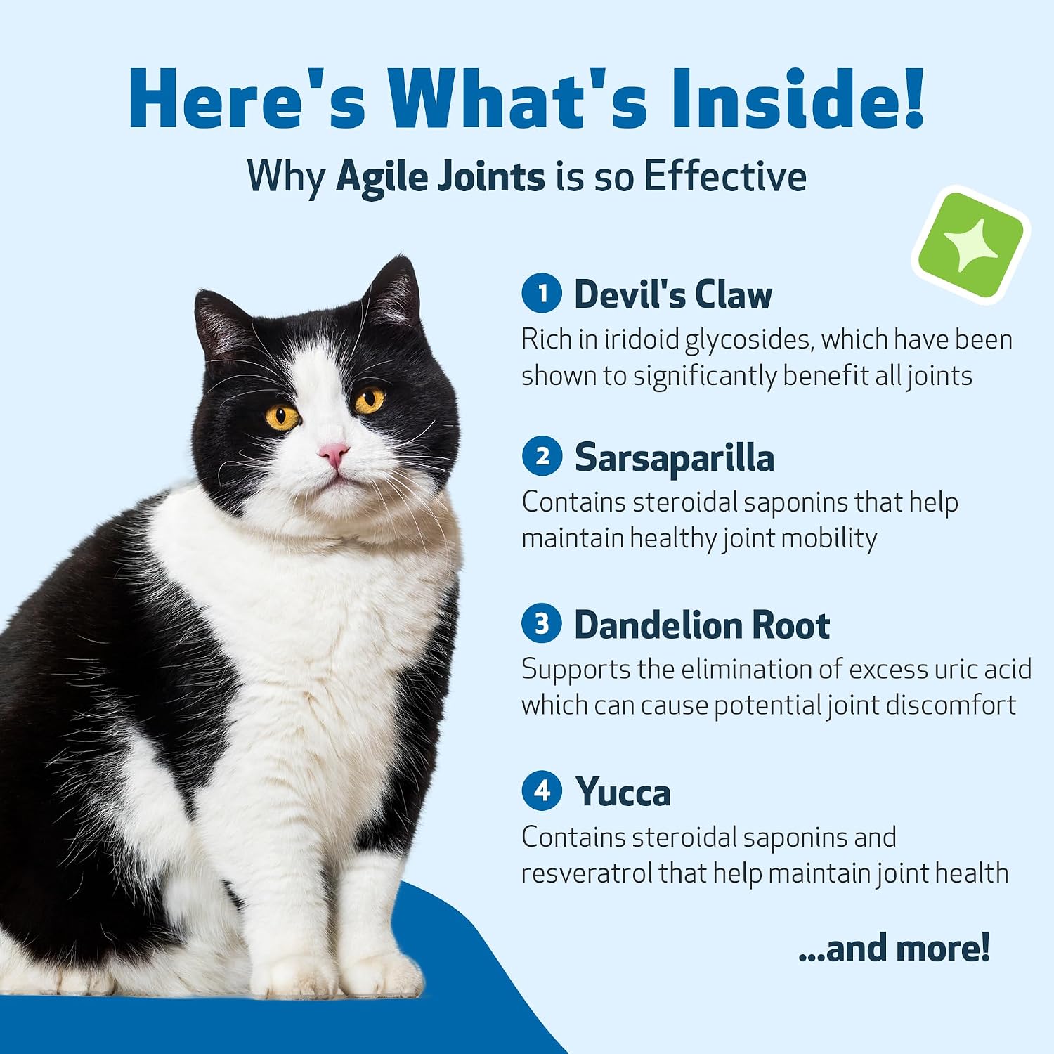 Veterinarian-formulated Agile Joints supplement for cat mobility