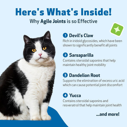 Veterinarian-formulated Agile Joints supplement for cat mobility