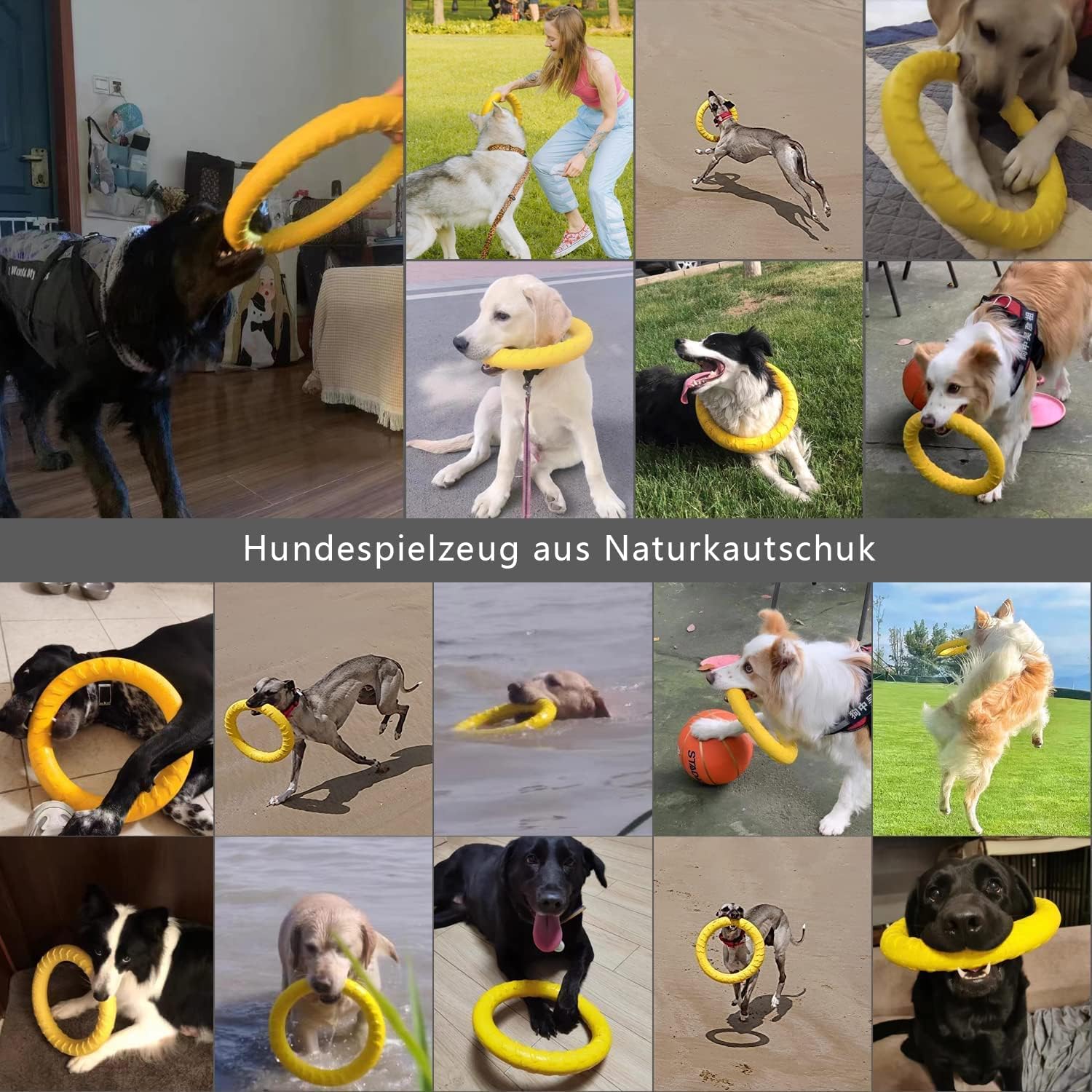 Side profile of Dlder large dog flying disc ring