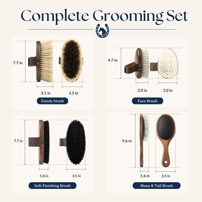 Ergonomic beechwood dandy brush with firm natural bristles for horse grooming.