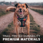 Embark Pets harness padding for canine comfort