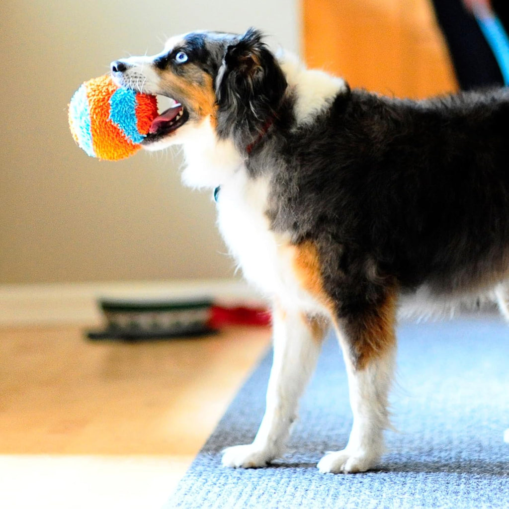 Interactive 4.75 inch dog ball for indoor use
