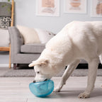 Packaging of authentic USA imported Outward Hound Snoop