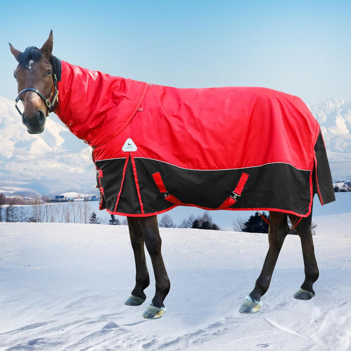 BabyFoxy horse turnout blanket folded to show internal polyfill