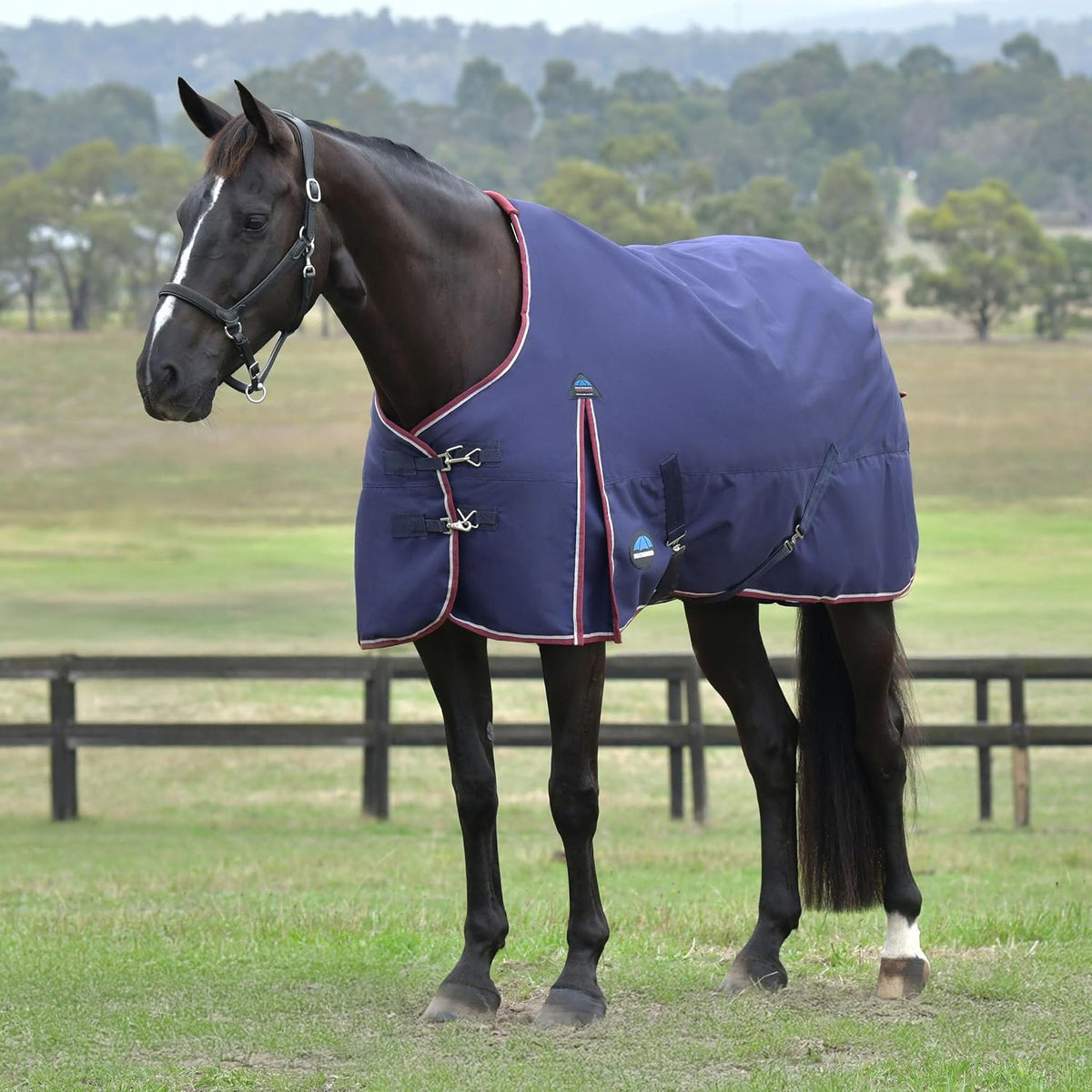 WeatherBeeta horse rain sheet side profile navy and burgundy equestrian supplies
