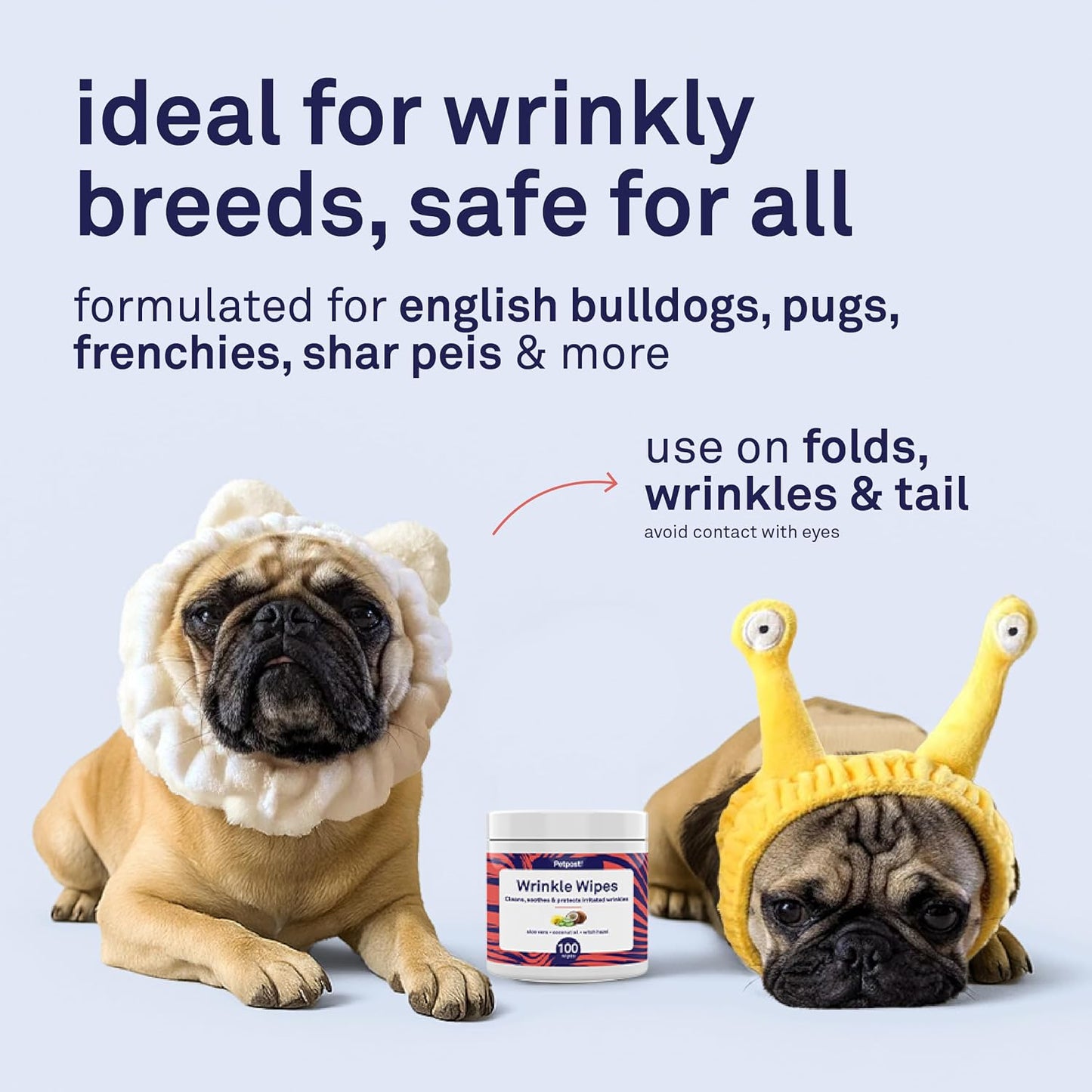 Bulldog being cleaned with Petpost wrinkle wipes